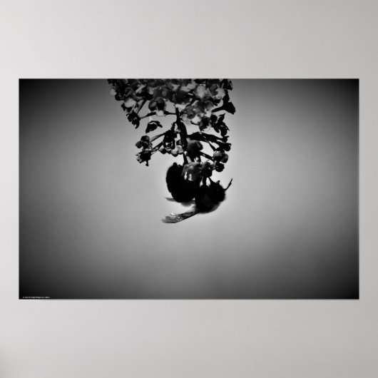 Bijen, Poster (Voorkant)