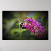 Bijen, Poster (Voorkant)