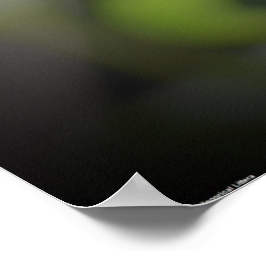 Bijen, Poster (Hoek)