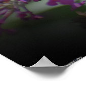 Bijen, Poster (Hoek)