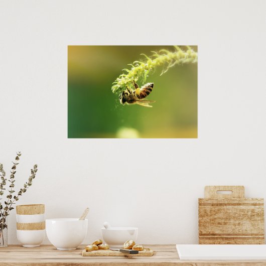 Bijen Poster (Keuken)