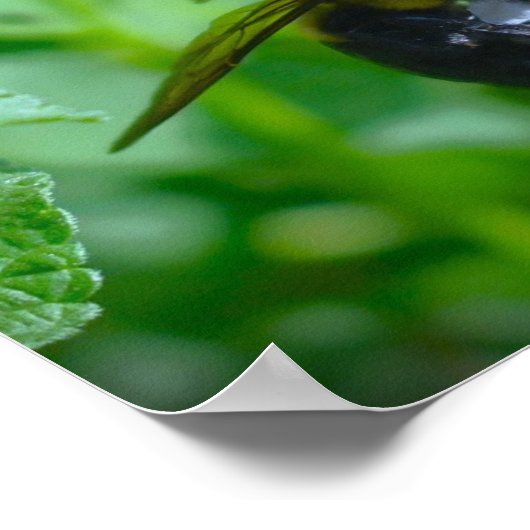 Bijen, Poster (Hoek)