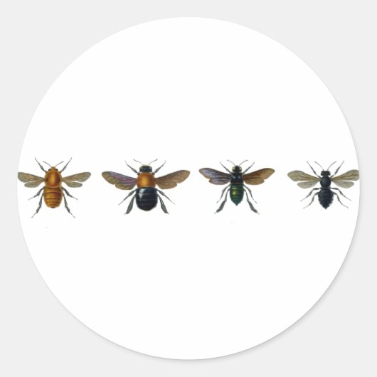 Bijen Ronde Sticker (Voorkant)