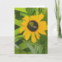 Bijen rusten in een bloemenfoto leeg Wenskaart