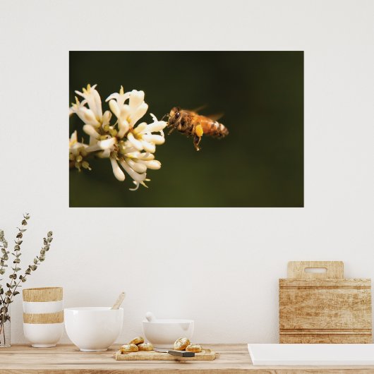 Bijen - Schat ik ben thuis Poster (Keuken)