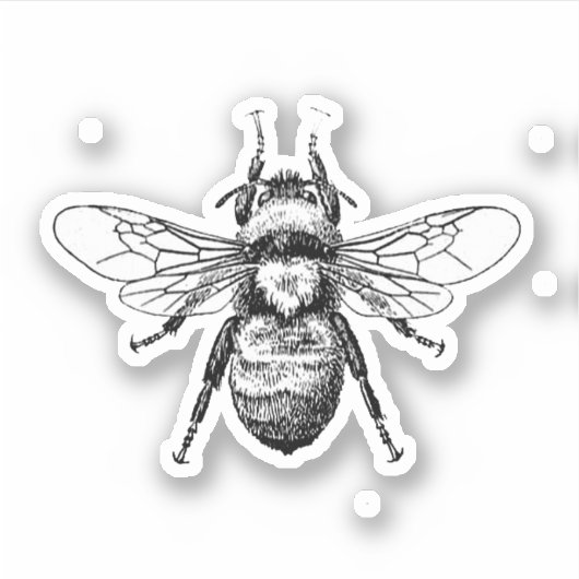 Bijen Sticker (Voorkant)