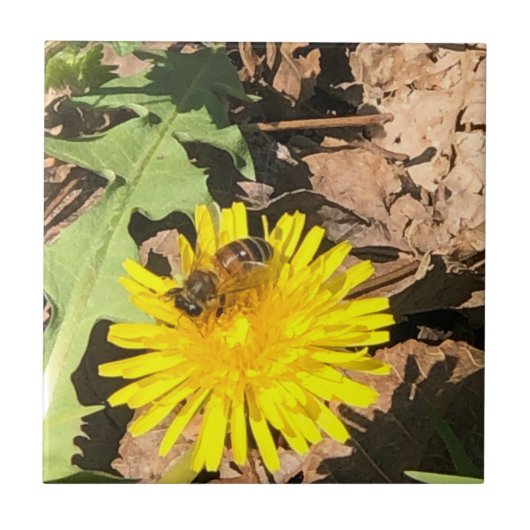 Bijen Tegeltje (Voorkant)