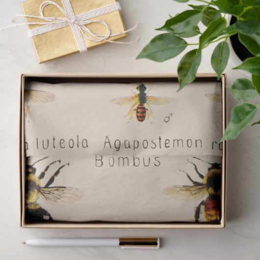  bijen tissuepapier (Geschenk)