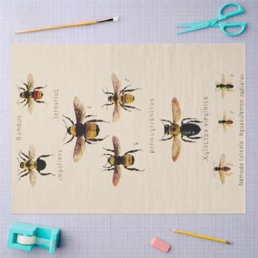  bijen tissuepapier (Craft)