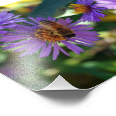 Bijen-u-t-ful Foto Afdruk (Hoek)