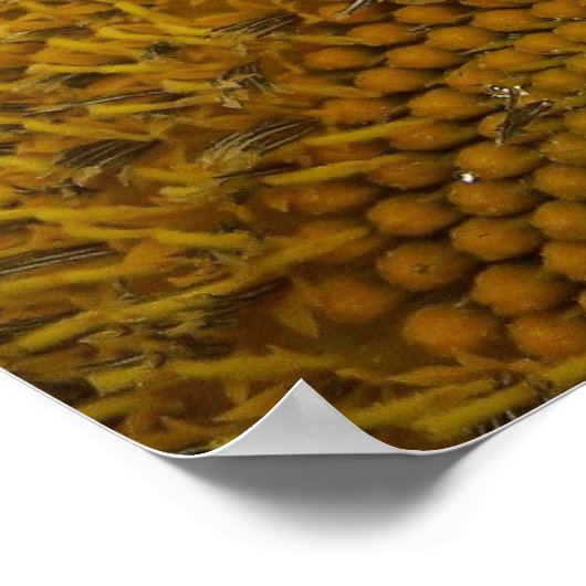 Bijen uw eigen Poster (Hoek)