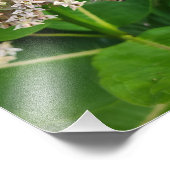 Bijen verdelen en veroveren foto afdruk (Hoek)