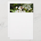 Bijen verzamelen stuifmeel briefpapier (Voorkant / Achterkant)