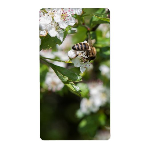 Bijen verzamelen stuifmeel etiket (Voorkant)