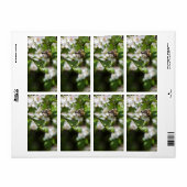 Bijen verzamelen stuifmeel etiket (Full Sheet)