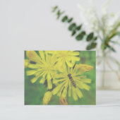 Bijen vliegen op Hawkweed Briefkaart (Staand voorkant)