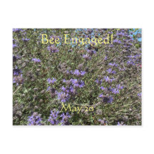 Bijen: Wereldbijendag Briefkaart