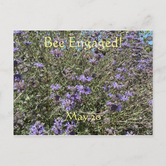 Bijen: Wereldbijendag Briefkaart (Voorkant)