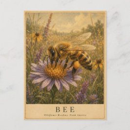 Bijen Wilde Bloemenweiden VINTAGE Briefkaart