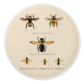 bijen Zes Keramische Knop (Voorkant)