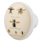 bijen Zes Keramische Knop (Rechts)