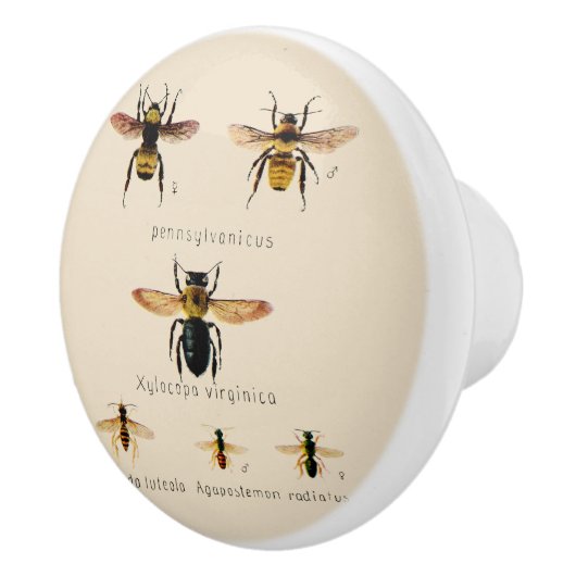 bijen Zes Keramische Knop (Rechts)