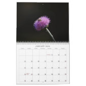 Bijen zijn prachtige bijen Natuur Kalender (Jan 2026)