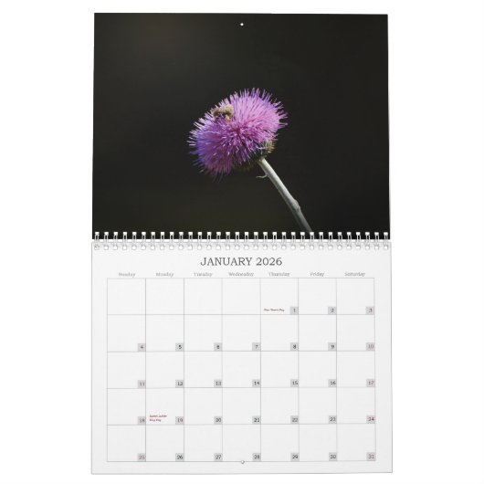 Bijen zijn prachtige bijen Natuur Kalender (Jan 2026)
