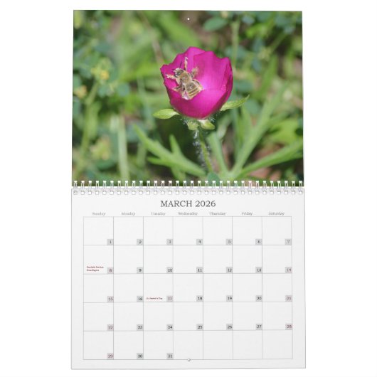 Bijen zijn prachtige bijen Natuur Kalender (Mar 2026)