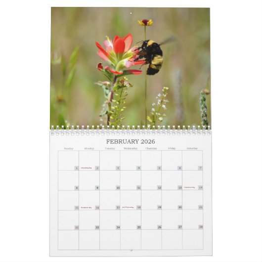 Bijen zijn prachtige bijen Natuur Kalender (Feb 2026)