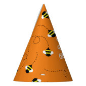 Bijendag 1e verjaardag Petten van de partij Feesthoedjes (Links)