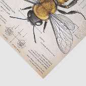  bijendiagram tissuepapier (Detail)