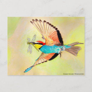 Bijeneter, kleurrijke vogel bij vluchtillustratie briefkaart