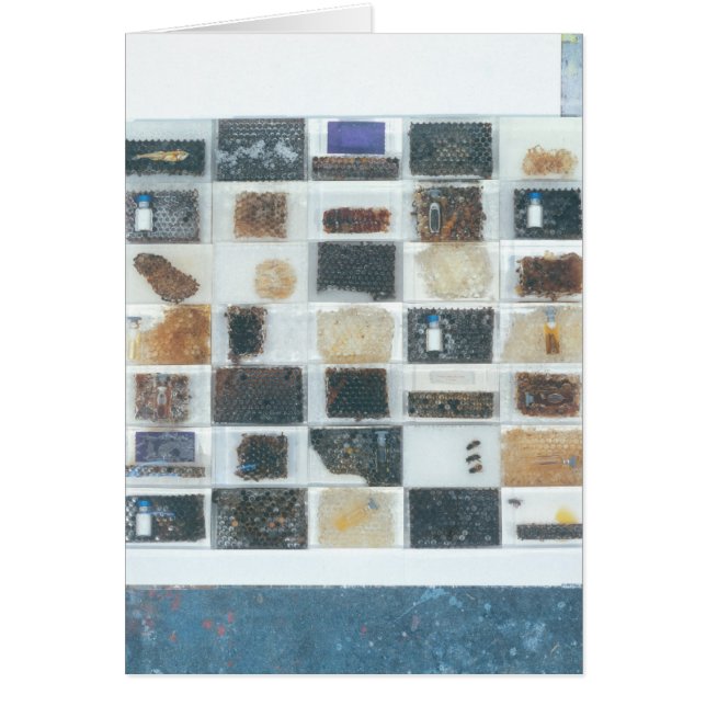 Bijenharsen (Voorkant)