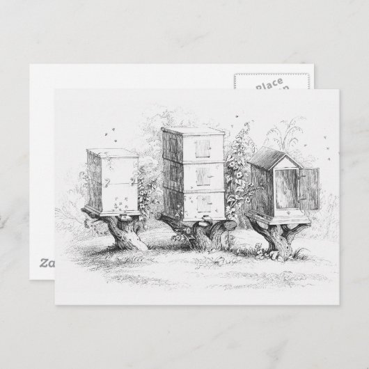  bijenhoning briefkaart (Voorkant / Achterkant)