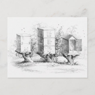  bijenhoning briefkaart