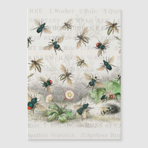 Bijenhoningwerker Queen Bees Antiek