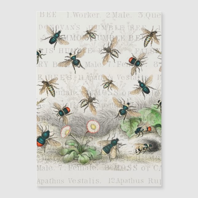 Bijenhoningwerker Queen Bees Antiek (Voorkant)