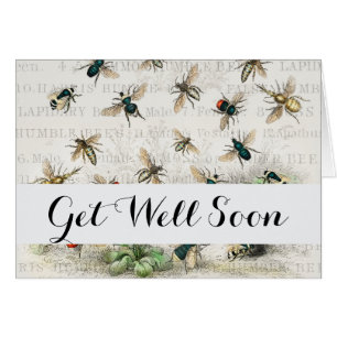 Bijenhoningwerker Queen Bees Antiek