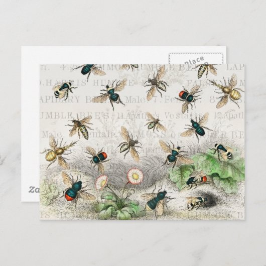 Bijenhoningwerker Queen Bees Antiek Briefkaart (Voorkant / Achterkant)
