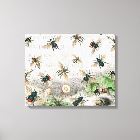 Bijenhoningwerker Queen Bees Antiek Canvas Afdruk (Voorkant)