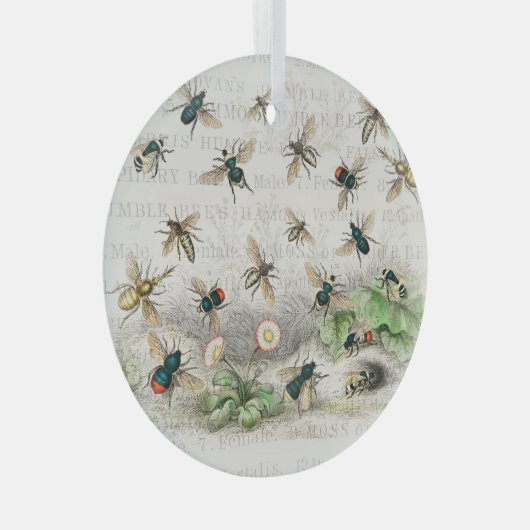 Bijenhoningwerker Queen Bees Antiek Glas Ornament (Voorkant Rechts)