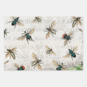 Bijenhoningwerker Queen Bees Antiek Inpakpapier Vel (Voorkant)