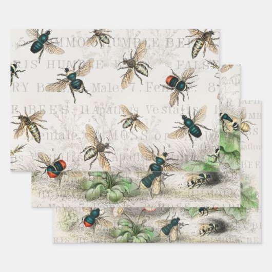 Bijenhoningwerker Queen Bees Antiek Inpakpapier Vel (Set)
