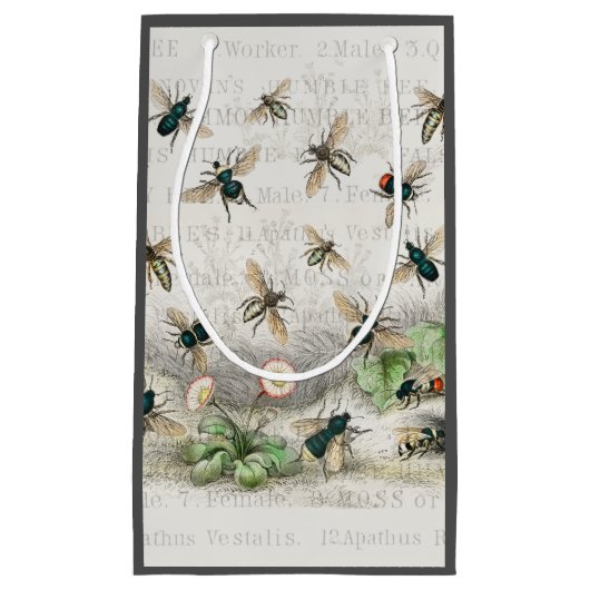 Bijenhoningwerker Queen Bees Antiek Klein Cadeauzakje (Voorkant)