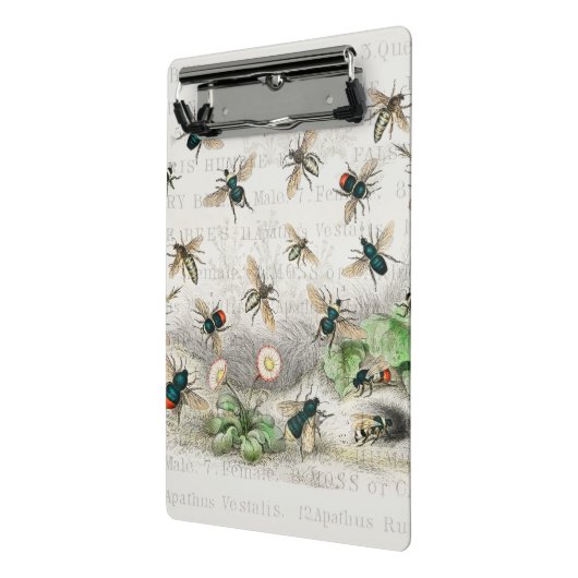 Bijenhoningwerker Queen Bees Antiek Mini Klembord (Angled2)