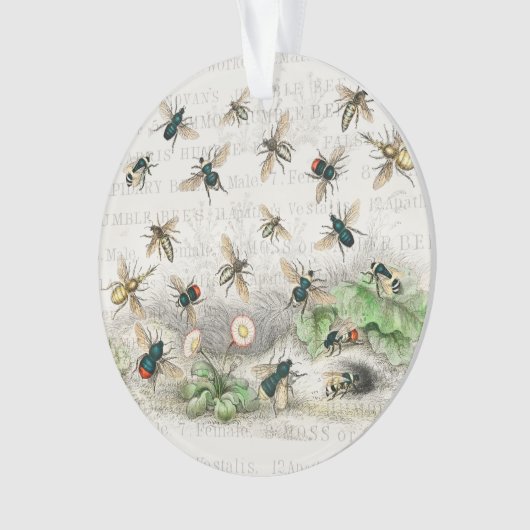 Bijenhoningwerker Queen Bees Antiek Ornament (voorkant)