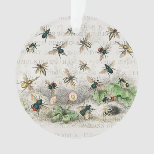 Bijenhoningwerker Queen Bees Antiek Ornament (voorkant)