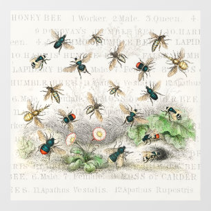 Bijenhoningwerker Queen Bees Antiek Raamsticker