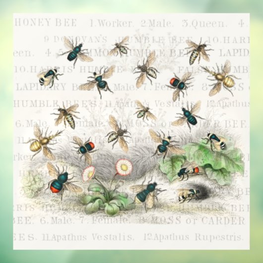 Bijenhoningwerker Queen Bees Antiek Raamsticker (Vel 3)